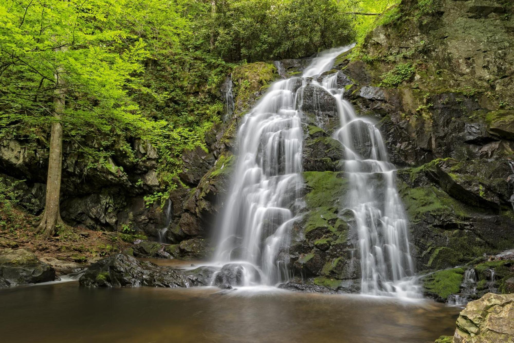 Magical Moments, Hot Tub, Wifi, 1089 Free Tickets Each Paid Day, Dollywood And More Gatlinburg Bagian luar foto