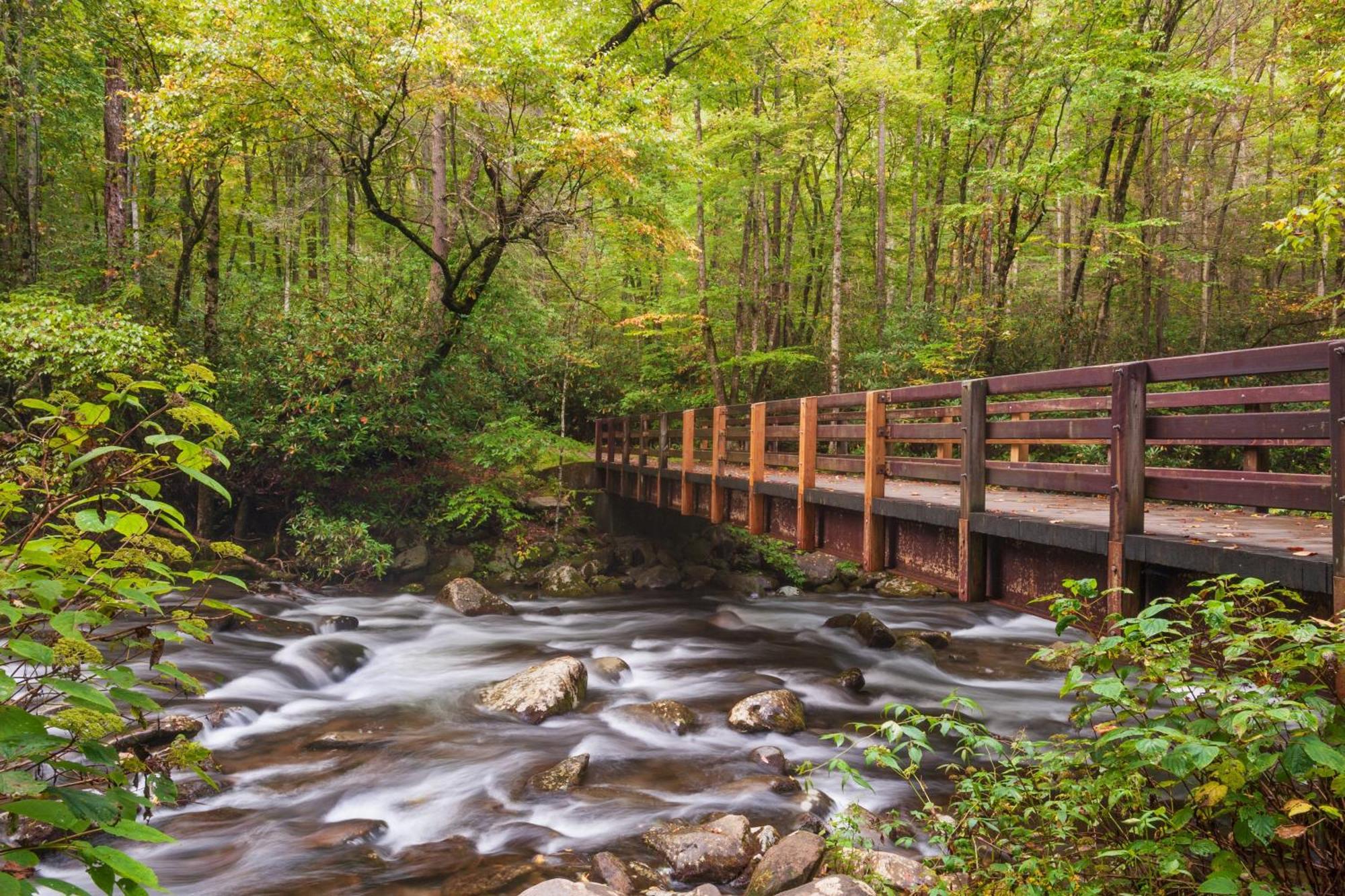 Magical Moments, Hot Tub, Wifi, 1089 Free Tickets Each Paid Day, Dollywood And More Gatlinburg Bagian luar foto